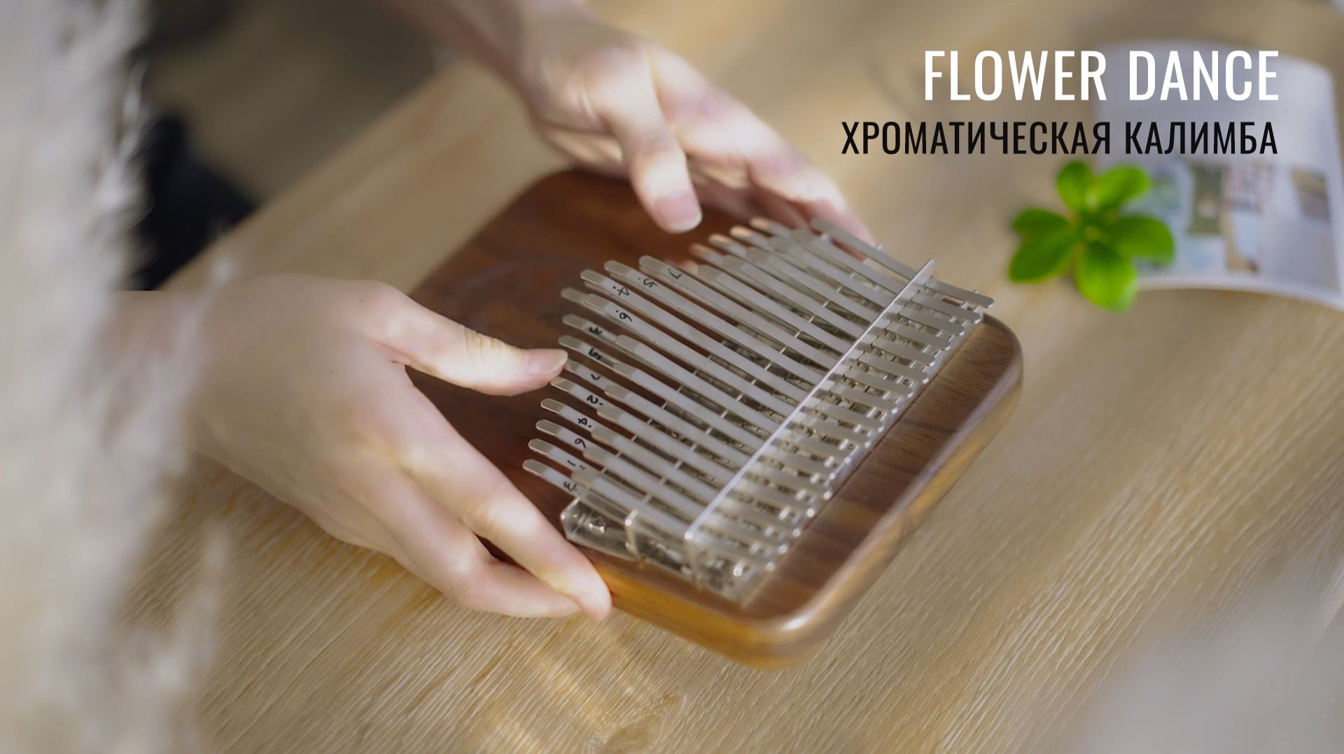 «Flower Dance». Игра на хроматической калимбе Hluru смотреть онлайн