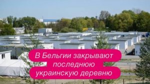 «Украинские дикари»  на концерте в Бельгии. #новости #беженцыизукраины