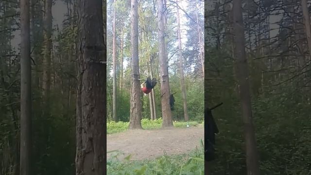 разминка в лесу