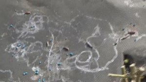 "ДЕДОВСКИЙ" способ успешной борьбы со слизнями! Совет от зрителей.