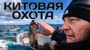 Чукотские китобои \ Опасная охота на китов \ Слабонервным не смотреть