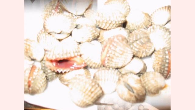 2009 Таиланд (Бангкок-Ча АМ- Хуахин) ноябрь