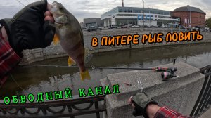 В Питере рыб ловить. Рыбалка в центре города. Обводный канал