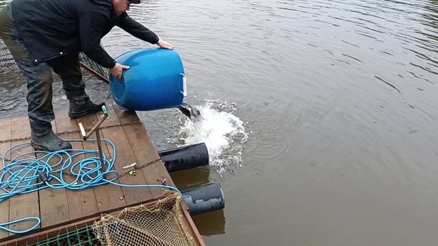 Forest Fishing 06.12.25