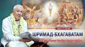 06/12/2025 Шримад-Бхагаватам 11.24.28. Е.М. Чайтанья Чандра Чаран прабху. Вриндаван Парк