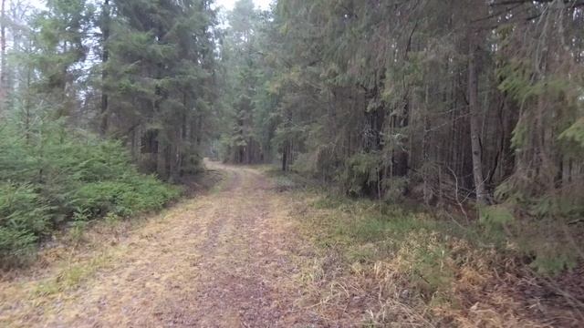 О переизбытке