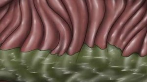 Miside vore. Mila vore audio