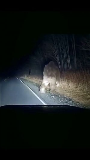 что ты такое