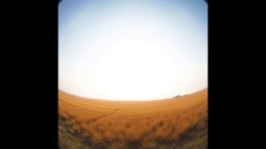 ЭФФЕКТИВНОСТЬ - ВЫШЕ НОРМЫ!