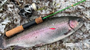 Со стеклом за красной рыбой