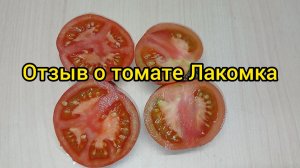 Томат Лакомка. Среднеспелый, розовый, сладкий, детерминантный, хилый в рассаде.