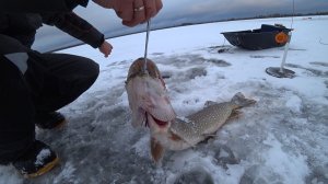 МЫ ЕЁ НАШЛИ, ЕСТЬ ПЕРВЫЙ ТРОФЕЙ! ЖИВЁМ В ПАЛАТКАХ НА ЛЬДУ КАК ДОМА \ ВЕЧЕРНИЕ ВКУСНЯШКИ В ПЕНТАГОНЕ.