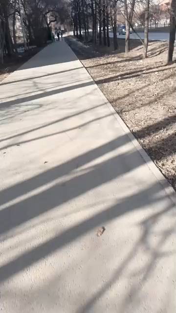 прогулка смотреть онлайн