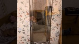 267. Показываю  комнату Джонатана, отвечаю на комментарии и прошу совета.