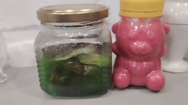 Что мы едим, что готовим?