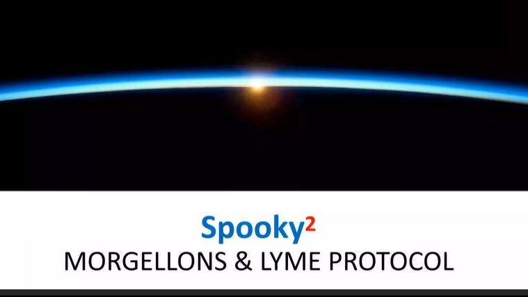 Morgellons & Lyme Protocol Held By Debbie Rich On Jan 4th