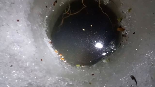 НОЧНАЯ РЫБАЛКА НА КОСЫНКИ. ОЧЕНЬ ОПАСНО.