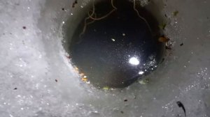 НОЧНАЯ РЫБАЛКА НА КОСЫНКИ. ОЧЕНЬ ОПАСНО.