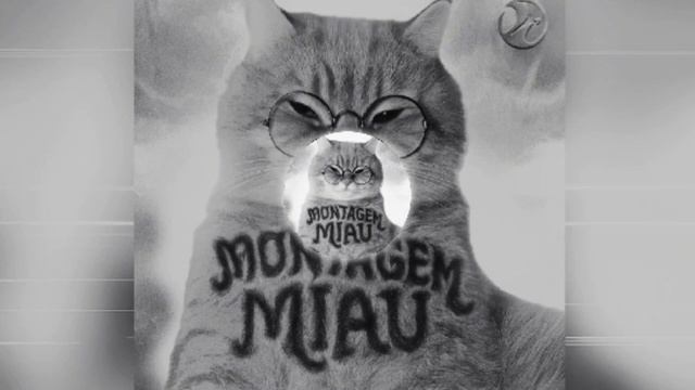 LENAR - MONTAGEM MIAU - ULTRA SLOWED - full version - PHONK смотреть онлайн