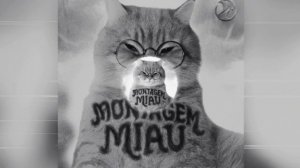 LENAR - MONTAGEM MIAU - ULTRA SLOWED - full version - PHONK