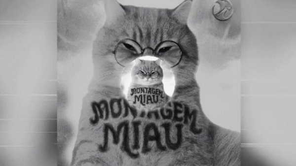 LENAR - MONTAGEM MIAU - ULTRA SLOWED - full version - PHONK