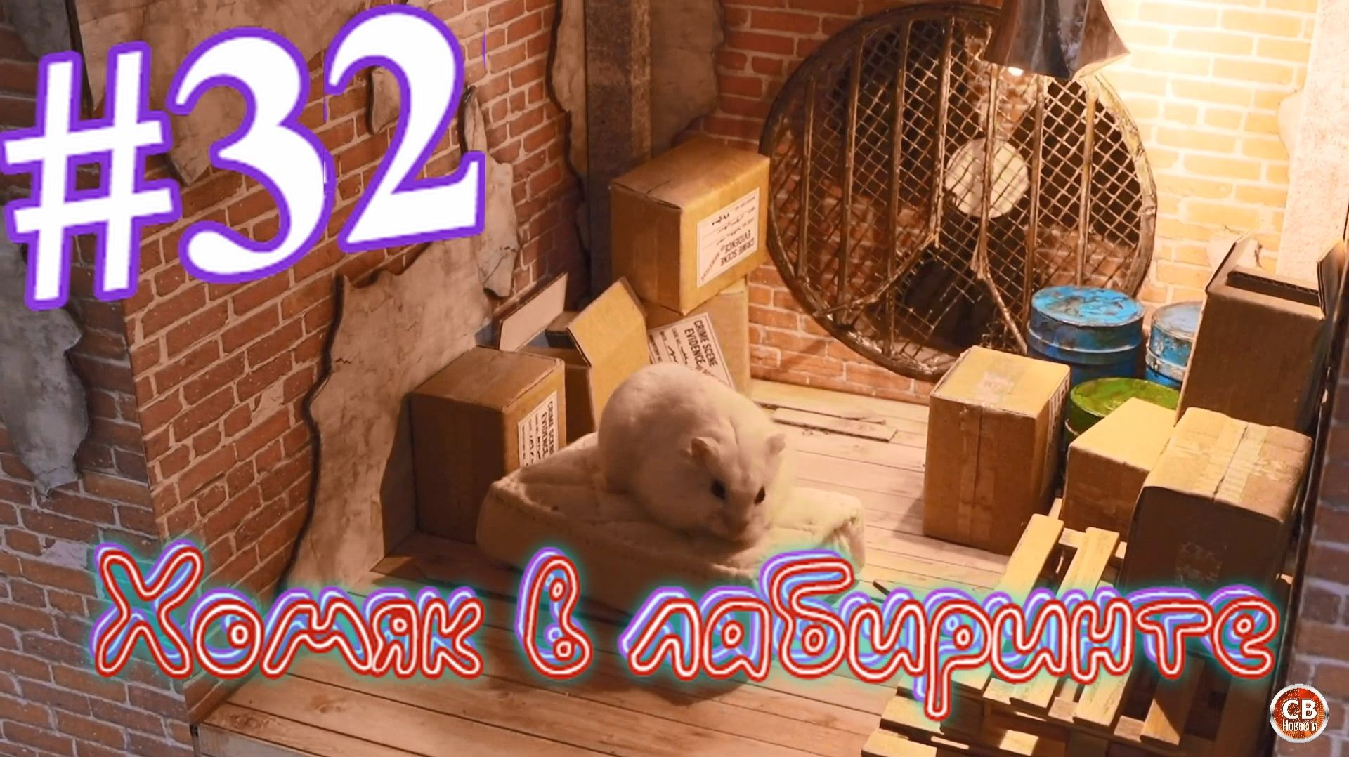 Хомяк в лабиринте (32 серия) смотреть онлайн