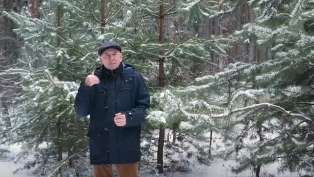 05 Бальзам для позвоночника. Станислав Лосев_ Как вернуть себе волю и выразить себя смотреть онлайн