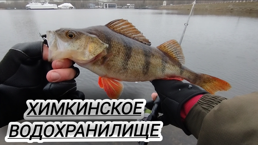 ХИМКИНСКОЕ ВОДОХРАНИЛИЩЕ РЫБАЛКА ЛОВЛЯ ОКУНЯ) смотреть онлайн