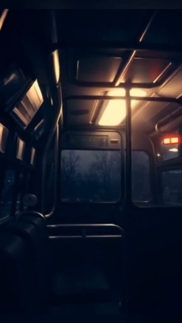 Куда пропал автобус 375 и его пассажиры