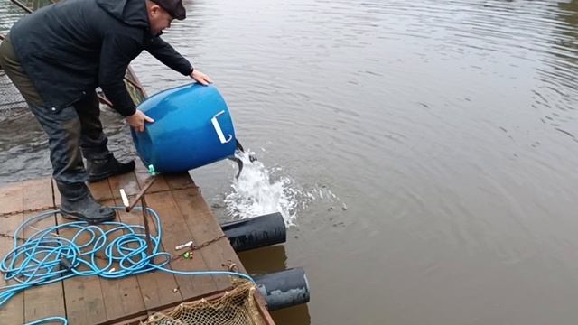 Forest Fishing 06.12.25