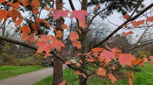 Итоги ноября. Мое вязание.