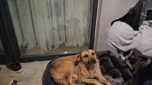 74.Новый этап жизни