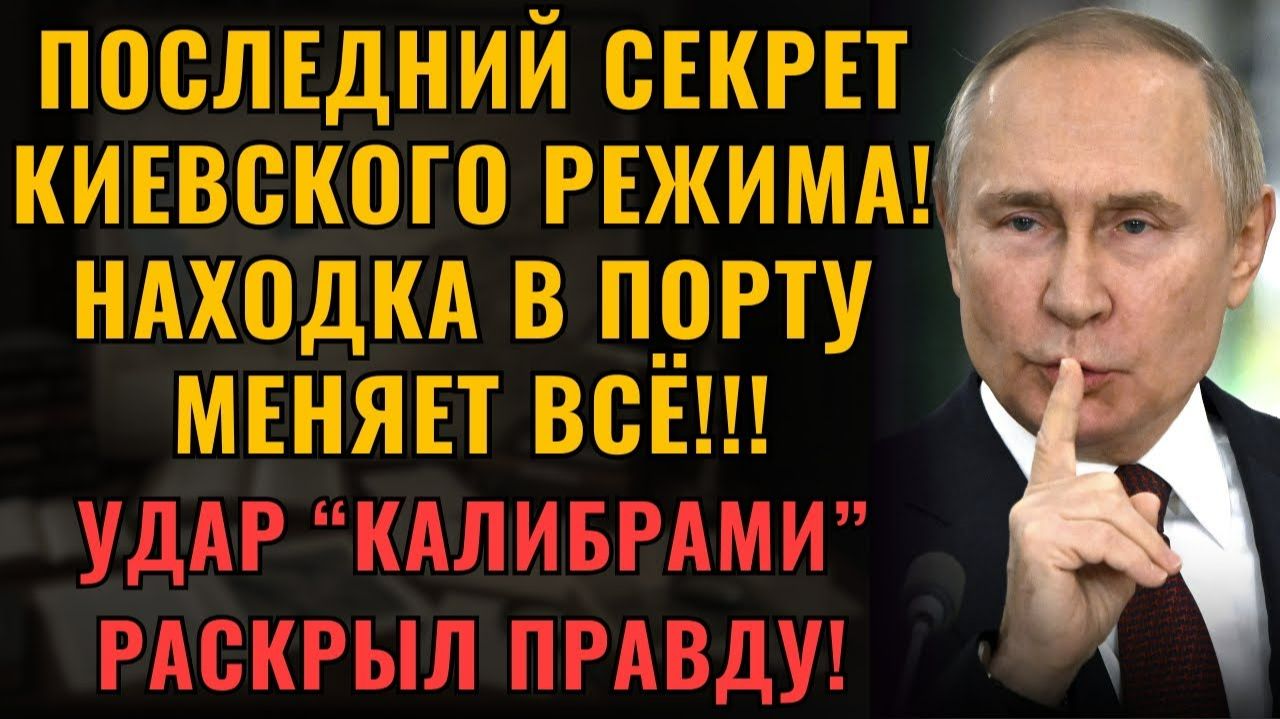 ТАЙНА ДУНАЯ РАСКРЫТА Что скрывали зерновые караваны NATO