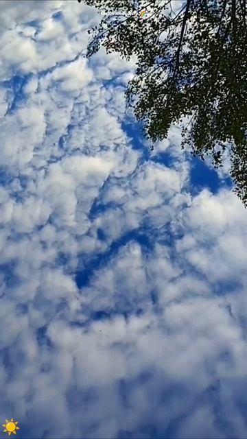 #красивое #небо #облака #река #волга #лето #орел #пляж #событиедня #7августа2025год #саратов смотреть онлайн