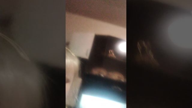 У  Сеши сегодня  день  рождения ему 2года🥳🥳🥳🥳🥳🥳🥳🥳🥳🥳🥳🥳