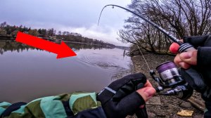 ВЫНУЛ ЕЁ ИЗ КОРЯГ! АЖ ЛЕСКА ЗАЗВЕНЕЛА! / РЫБАЛКА с Xesta Black Star 2025 S74ML-T Multi Swap