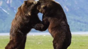 Две горы мышц, битва титанов.