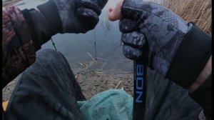 Ловля уклейки Каменск-Шахтинский