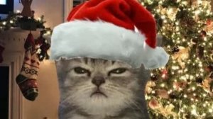 Стрим с братом обзор на инкубатор и алиса