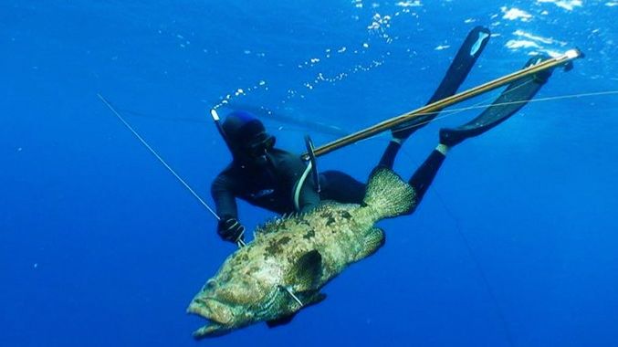 Как это просходит. Подводная охота 2. смотреть онлайн