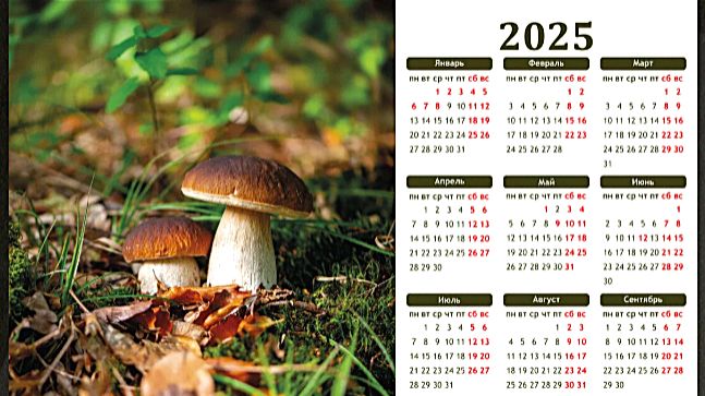 Двенадцать месяцев. Сказка грибника