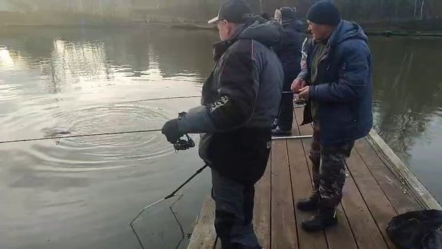 Розовый пламп смотреть онлайн