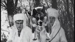 Западная граница. Пограничники.