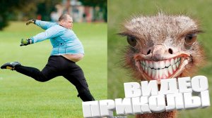 ЛУЧШИЕ ПРИКОЛЫ 2025 | ПРИКОЛЫ 2025 | СВЕЖИЕ ПРИКОЛЫ 2025 | РЖУ НЕ МОГУ |