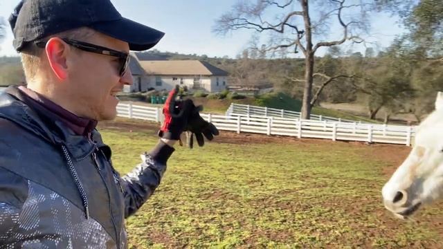 РАНЧО В США смотреть онлайн