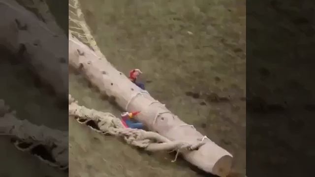 #Стрелковка #Фейлы Когда пересмотрел все части великолепной семерки смотреть онлайн