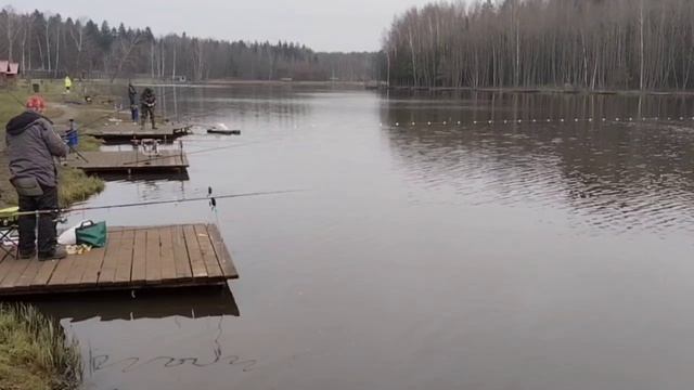 ОБЗОР. смотреть онлайн