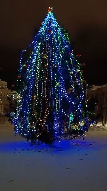 Новый год 2025 Екатеринбург. Украшения и ёлки в Академическом районе. Часть 7 Красивая ёлка и умка смотреть онлайн