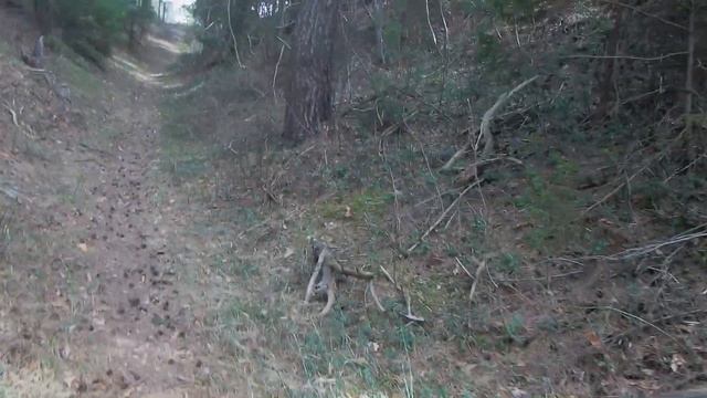 Бошарово на ключ