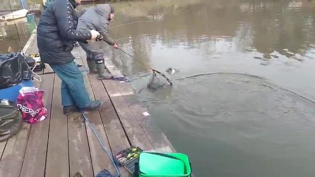 Маггот смотреть онлайн